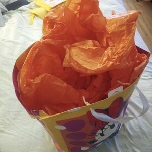 Colorful Gift Bag with Orange Tissue Paper